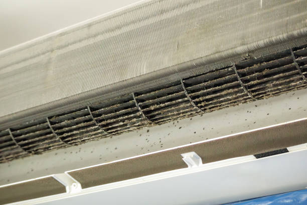 Best Home Air Vent Cleaning  in Terry, MS